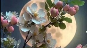 Красивые открытки с пожеланием спокойной ночи 🦋