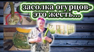 126-25! ВЛОГ ПРО  - КАК Я ЗАСАЛИВАЛА ОГУРЦЫ 2-МЯ СПОСОБАМИ И ВЫШЛО ЖЕСТЬ! 🥒🥒🥒