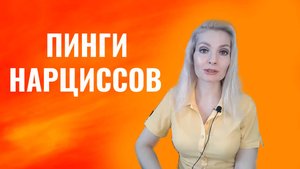 Пинги нарциссов