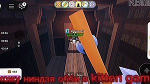 Прохожу обби в kitten game