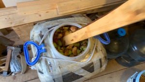 Дробилка для яблок