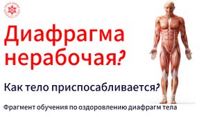 Диафрагма нерабочая. Как тело приспосабливается?  Фрагмент обучения по оздоровлению диафрагмы.
