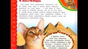 Кошки и котята. Часть 1. Прошлое и настоящее. Самая первая энциклопедия