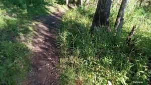 Рыбалка после недельных дождей в Сибири