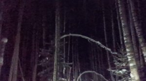 На рыбалку зимой