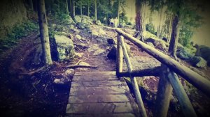 ВЫБОРГ - Монрепо - Экотропа