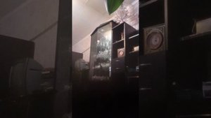 Алиса кошка мяу и август 😸