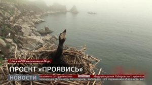 Заметки о море