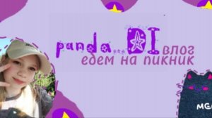 Влог | едем на пикник