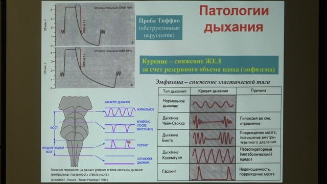 Ловать М. Л. - Физиология человека и животных. Часть 2 - 10. Дыхание
