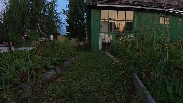 Видишь ёжика? смотреть онлайн