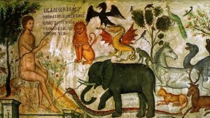 Беседа о животных и не только