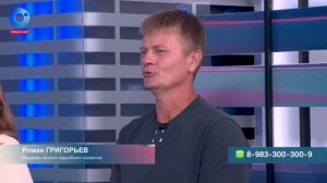 Золотое руно - дорперы Новосибирска