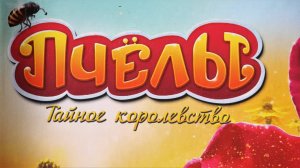Настольная игра "Пчелы. Тайное королевство". Правила + Let's Play.