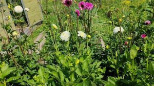 Некогда в деревне отдыхать