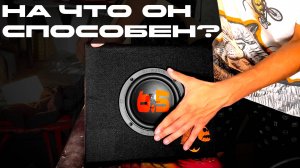 Карманный монстр: обзор активного саба Piranha 6.5 от DL Audio