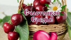СЧАСТЛИВОЙ СРЕДЫ! ПУСТЬ УТРО ПОДАРИТ НАМ РАДОСТЬ😄😍💕 И ВОСТОРГ!