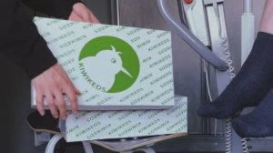 Kiwi Keds: адаптивная обувь, которая реально выглядит круто
