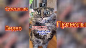 Самые смешные видео приколы|Юмор и Приколы