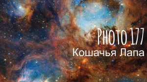 ФОТО 177. Кошачья Лапа  #астрофотография 😺🔭🤡