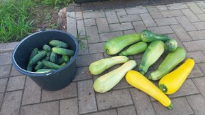 Хорошо в деревне летом! Огурчики, помидорчики и кабачки. Домашние заготовки овощей на зиму.