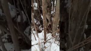 отзыв нож  Каратель