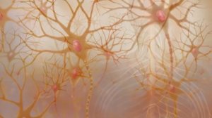 Как мозг мешает стать счастливым? Что такое КНП?