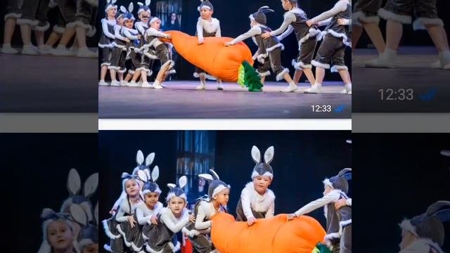 🐰🐰🐰🐰🐰🐰🐰