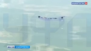 Черепах в озере заметили в парке Якутова в Уфе