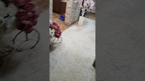 Пятигорский, Солнечная 11А