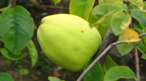 что можно посмотреть в дагомысе