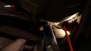 #LAVRlive. Чистка кондиционера на Ford Fiesta