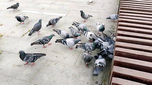 06-08-2025серая полоса, покрасим в белый цвет💯💯💯💯💯💯💯