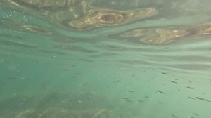 6.08.Анапа. 330 ступеней.