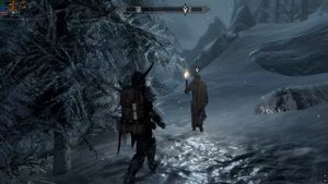 The Elder Scrolls V  Skyrim: Заказы. Ходячий кошмар. Баги