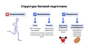 Структура беговой подготовки