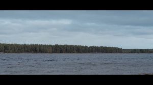 VERTERA.ДРАГИРОВЩИКИ