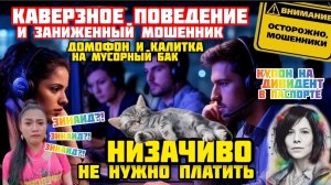 Подборка разговоров с глупыми мошенниками. Весёлые беседы обо всём/Нюша/Антимошенники