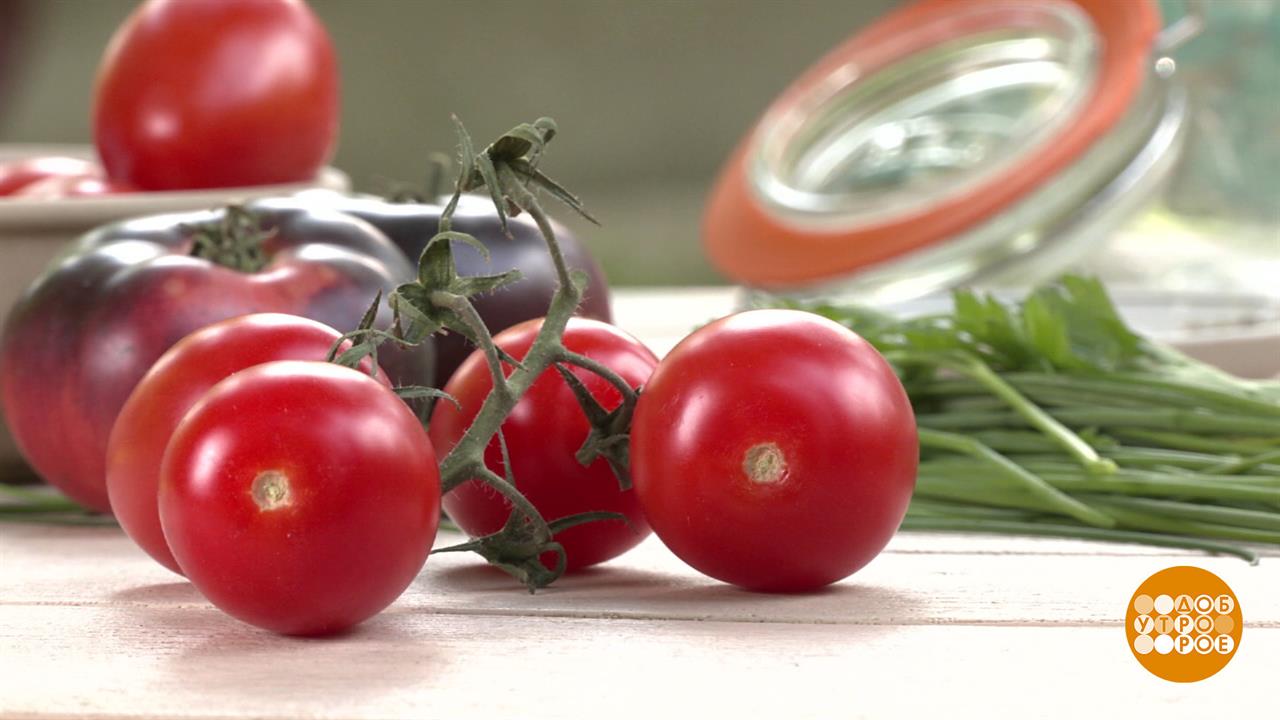 Помидоры: в салат - одни, в банку - другие? Доброе утро. Фрагмент выпуска от 06.08.2025