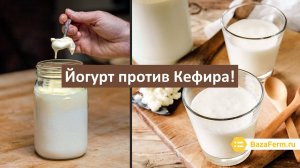 Кефир и Йогурт, отличия, сходства.