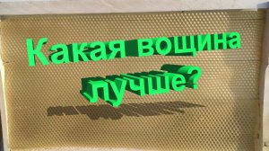 Какую вощину выбрать? Литая vs катаная — мнение профессора Кашковского