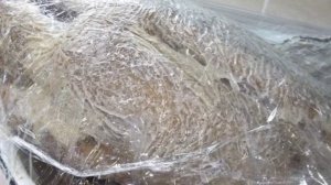 Индоутка в рукаве