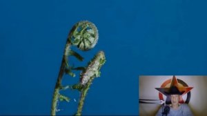 Этология против иллюзий _ Кто и зачем запрещает ДНК-тесты