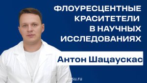 Спрашиваем у химика: зачем науке флуоресцентные красители?