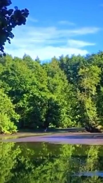 06-08-2025 смотреть онлайн