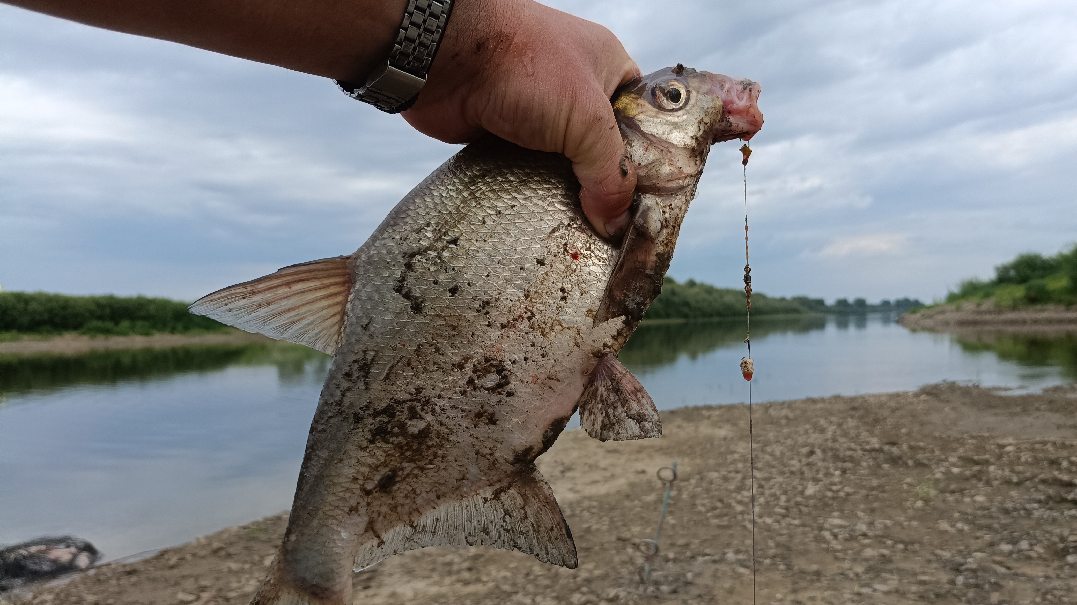 Тура.Донки.Новое место. смотреть онлайн