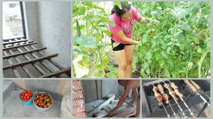 278 КУПИЛИ ДОМ НА ЮГЕ. РЕМОНТ В ВАННОЙ КОМНАТЕ. ЗАПУСТИЛА ОГОРОД, ИСПВЛЯЮ. МНОГО ПОМИДОР.