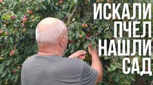 Искали Диких Пчёл в лесу Нашли Заброшенный Фруктовый Сад