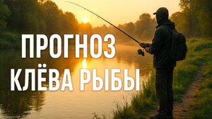 Прогноз клева рыбы с 5 по 15 августа! Лунный календарь рыбака!