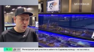 Сезон командорского кальмара стартовал на рыбных рынках Москвы - Москва 24